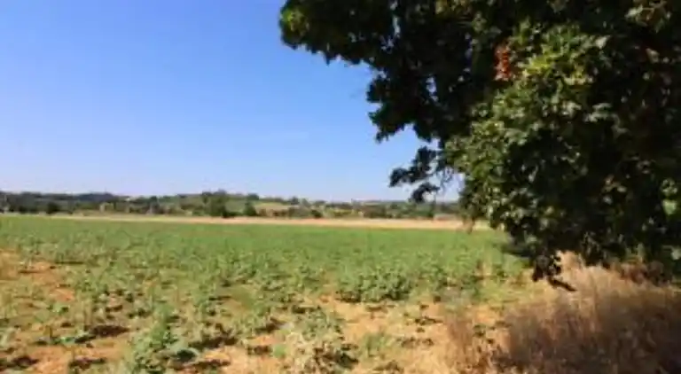 Feriebolig i Foiano della Chiana