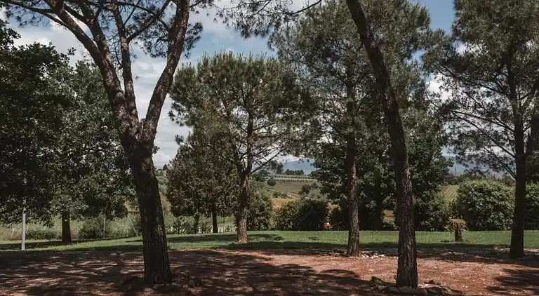 Feriebolig i Foiano della Chiana