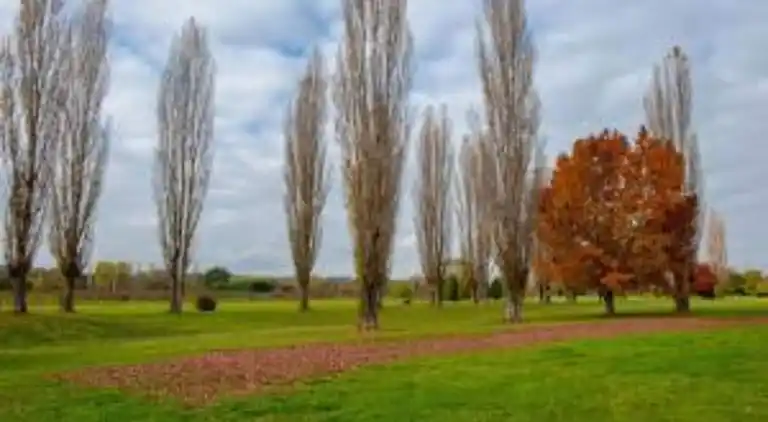 Feriebolig i Foiano della Chiana
