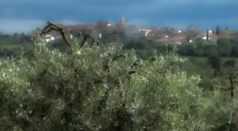 Feriebolig i Foiano della Chiana