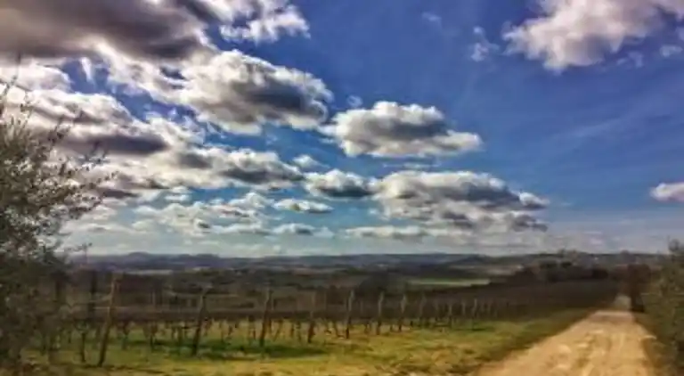 Villa i Marciano della Chiana