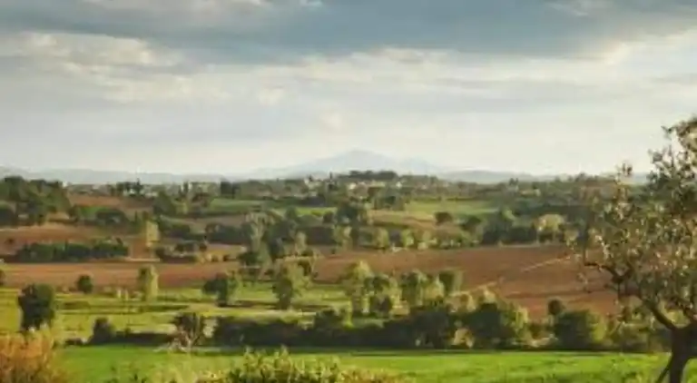 Feriebolig i Foiano della Chiana