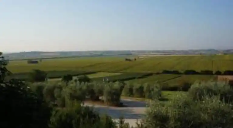 Feriebolig i Foiano della Chiana