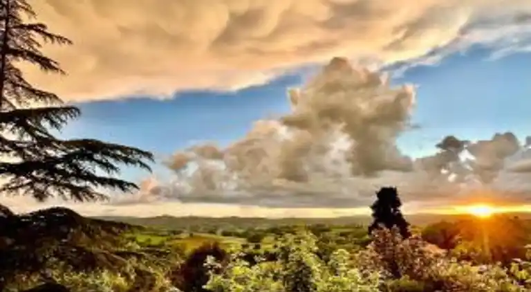 Villa i Marciano della Chiana