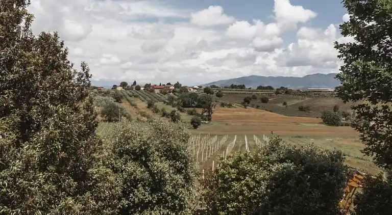 Feriebolig i Foiano della Chiana