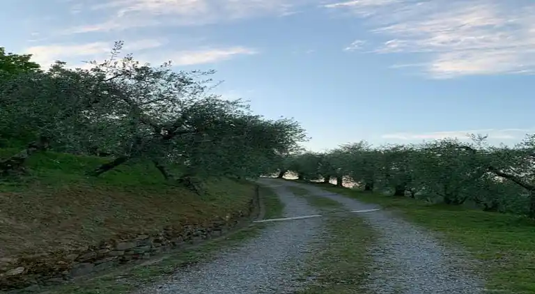 Sommerhus i Capannori