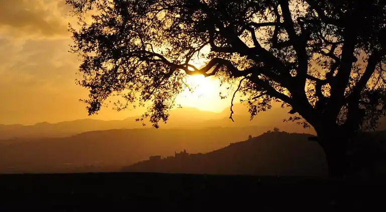 Sommerhus i Capannori