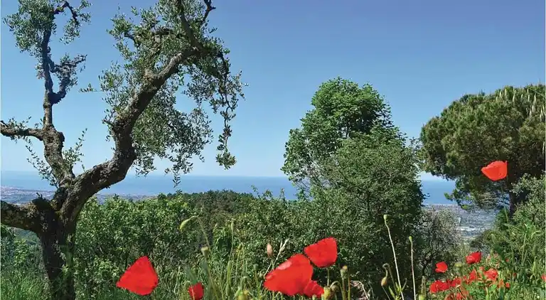 Semesterbostad i Pascoso