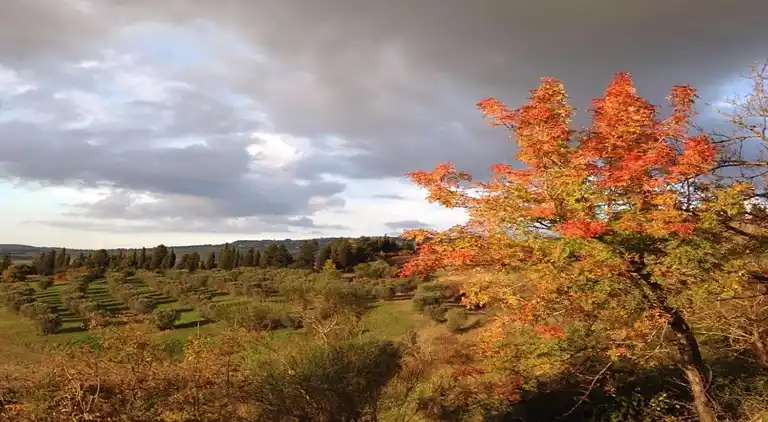 Holiday home in Volterra
