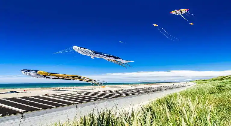 Vakantiehuis in Domburg