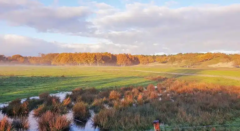 Vakantiehuis in Domburg