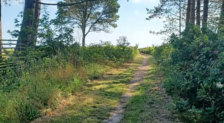 Encantadora casa en Vejlby Fed