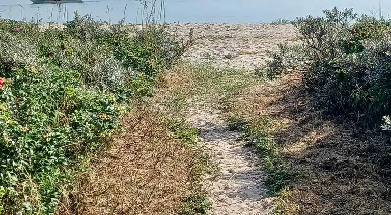 Encantadora casa en Vejlby Fed