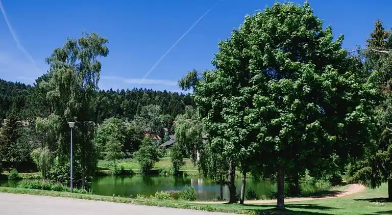 Apartment in Herrischried