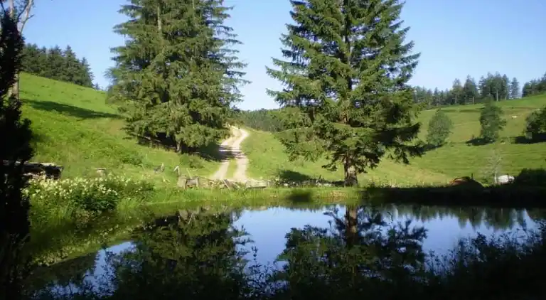 Apartment in Herrischried