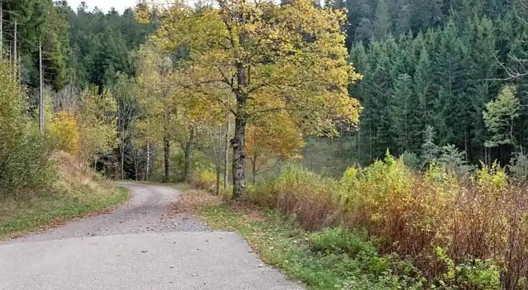 Apartment in Herrischried