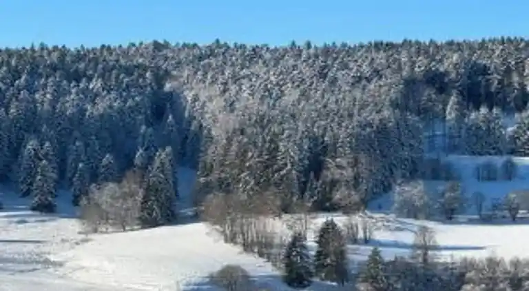 Apartment in Herrischried