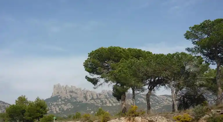 Landhaus in Castellfollit del Boix