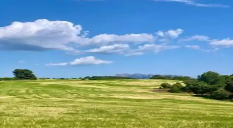 Landhaus in Castellfollit del Boix