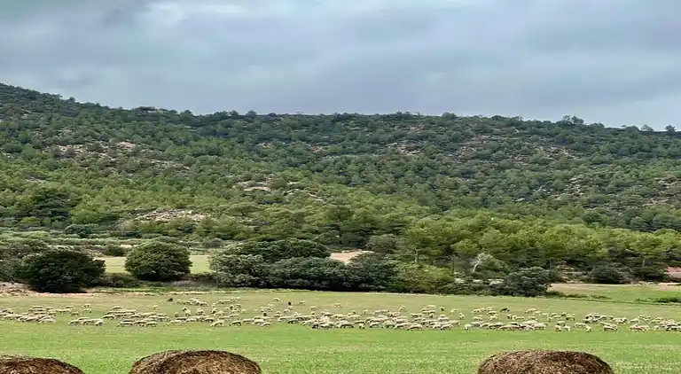Landhaus in Castellfollit del Boix