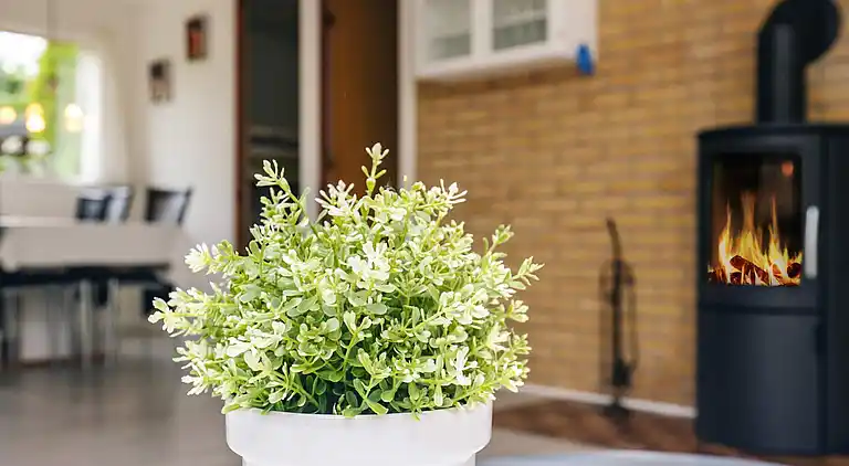 Sommerhus i Idestrup