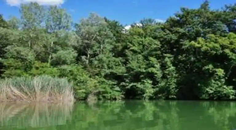 Farm house in Città di Castello