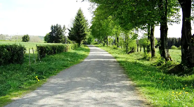 Cottage in Rocherath