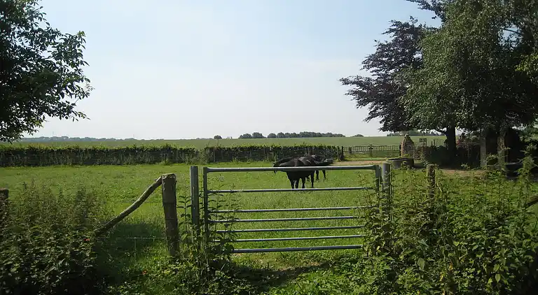 Apartment in Eijsden