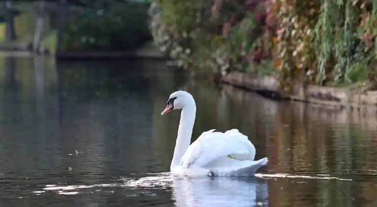 Vakantiehuis in Giethoorn