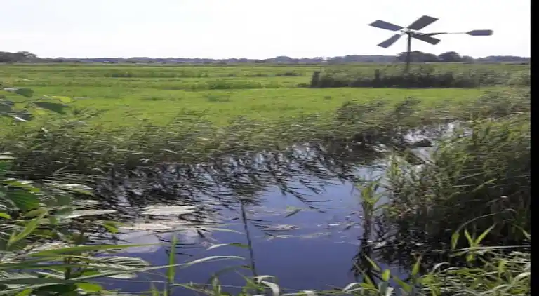 Vakantiehuis in Giethoorn