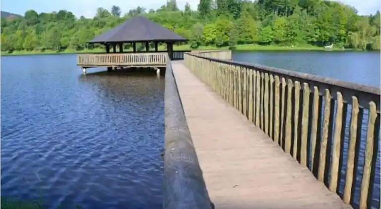 Holiday home in Petit-Thier