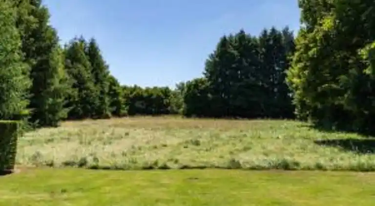 Holiday home in Petit-Thier