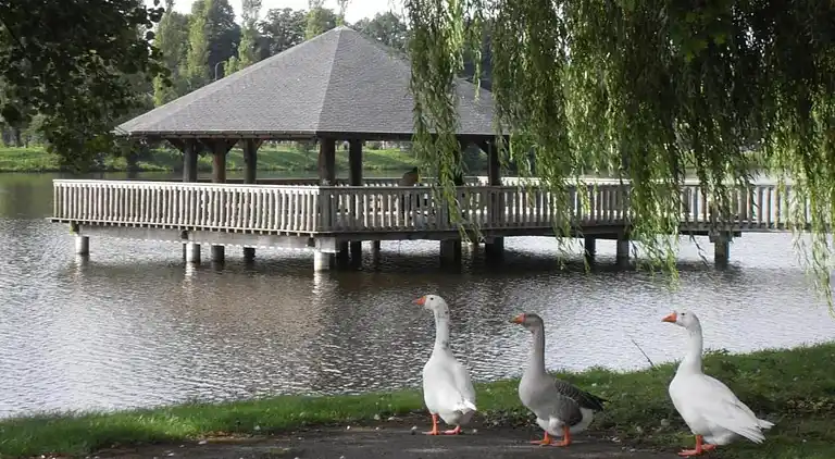Holiday home in Petit-Thier