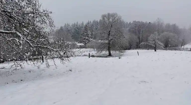 Holiday home in Petit-Thier