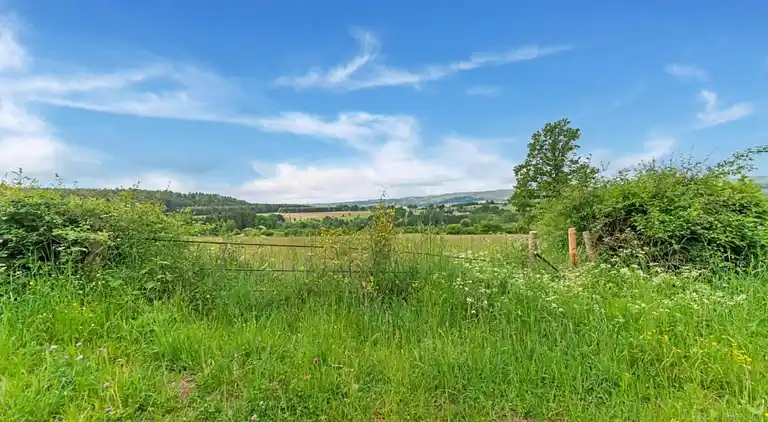 Holiday home in Petit-Thier