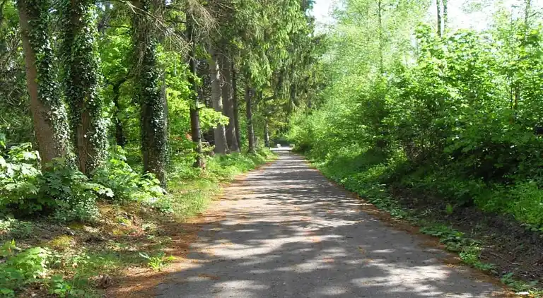 Holiday home in Petit-Thier