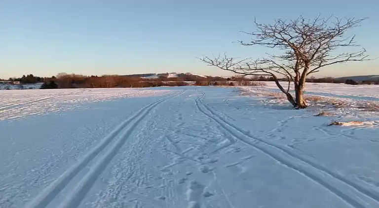 Sommerhus i Jindřichovice