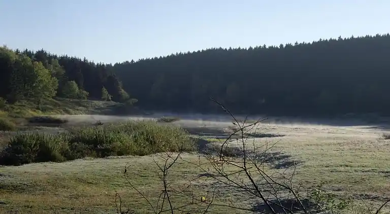 Holiday home in Oberharz am Brocken