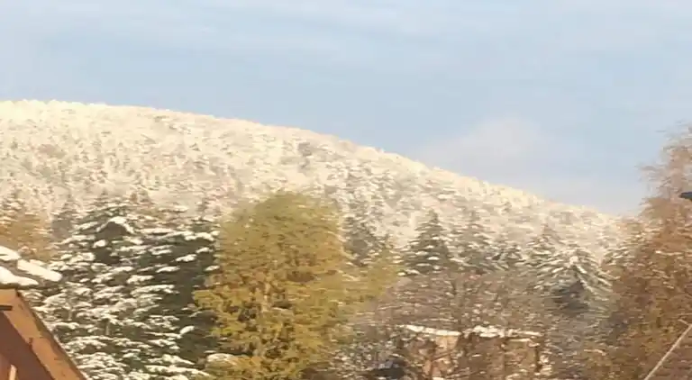 Holiday home in Oberharz am Brocken