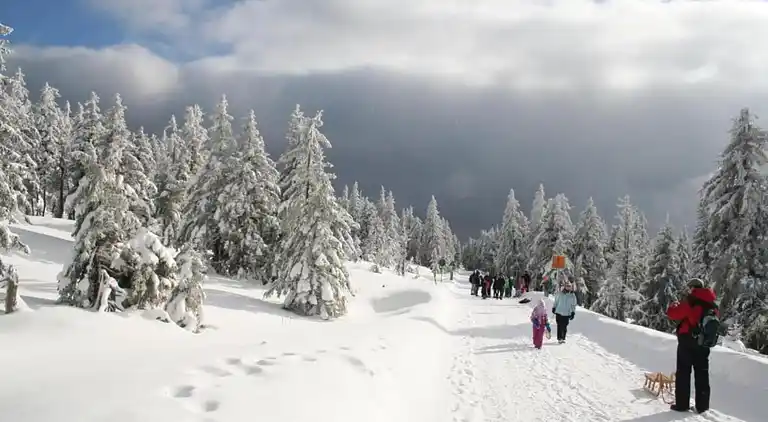 Holiday home in Oberharz am Brocken
