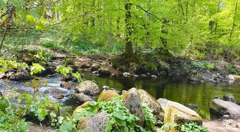 Holiday home in Oberharz am Brocken