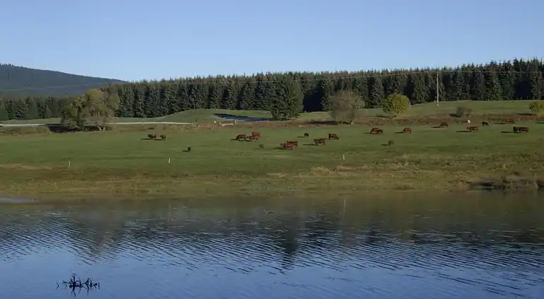 Holiday home in Oberharz am Brocken