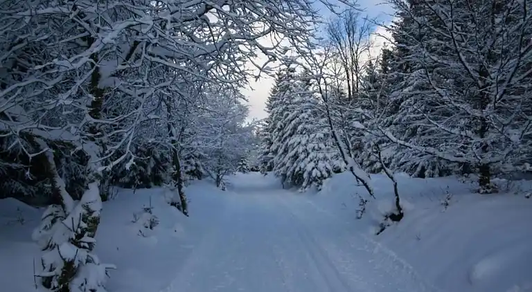 Holiday home in Oberharz am Brocken