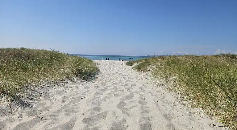 Velkommen til vores charmerende lille sommerhus!