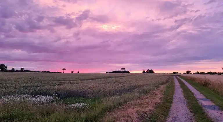 Schöne Ferienwohnung auf dem Land Nähe Svaneke
