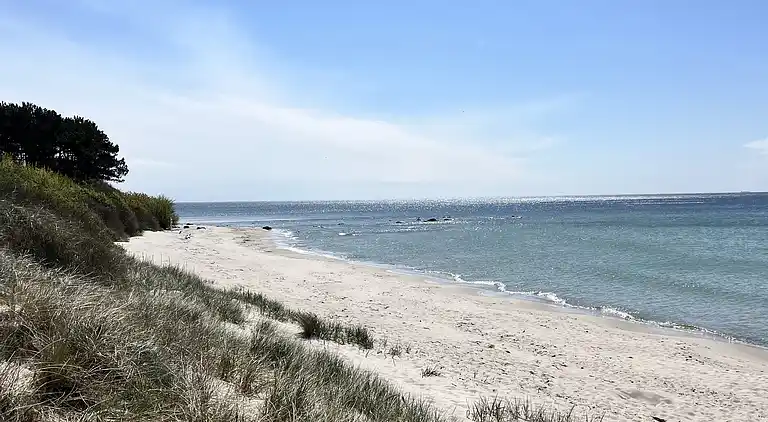 Lækkert sommerhus tæt på fantastisk badestrand