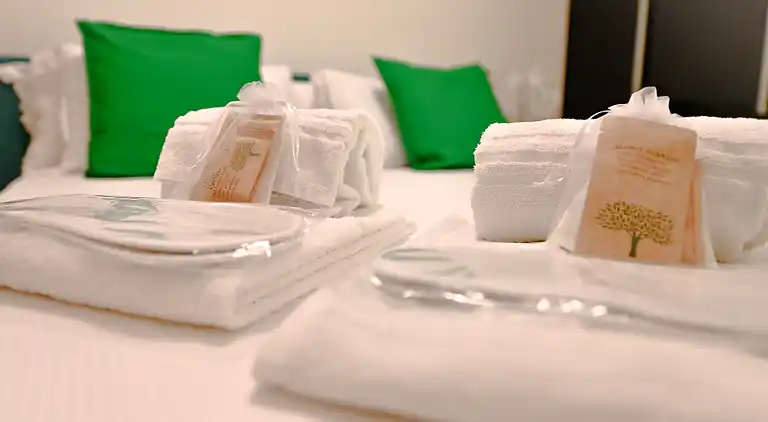 Luxurious Lugano Apartment with City Views