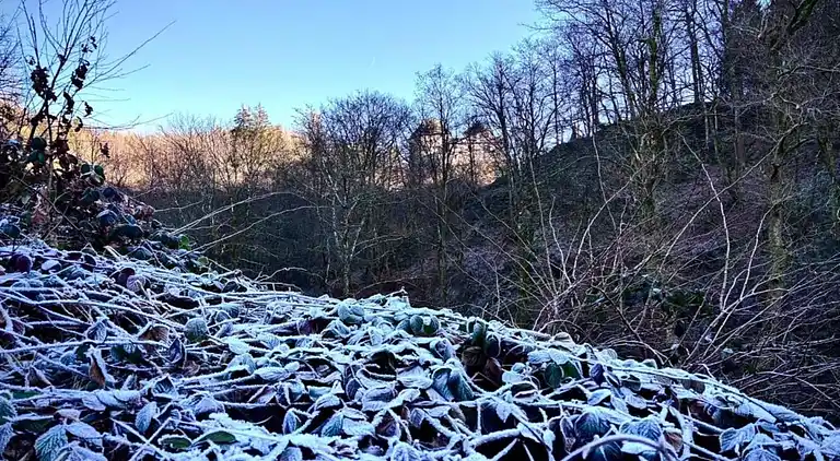 Apartment in Heppenbach