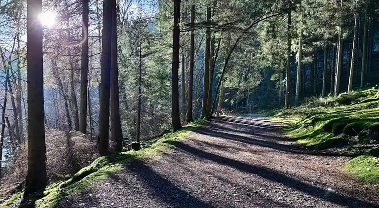 Apartment in Heppenbach