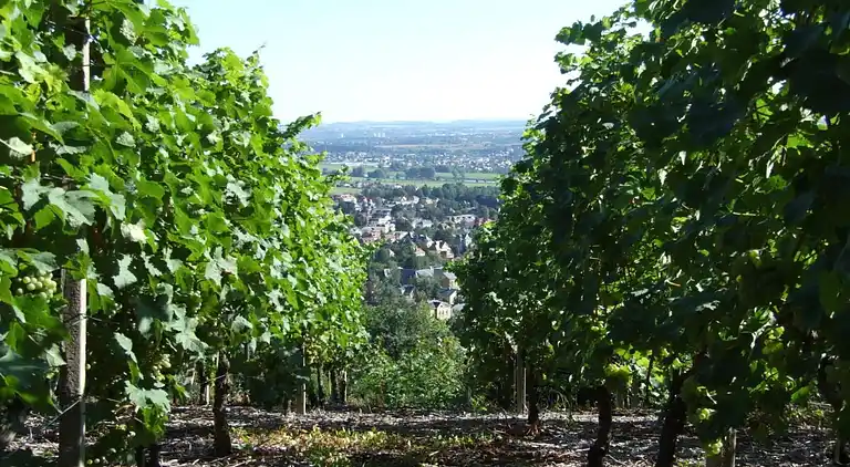 Vakantiehuis in Kötzschenbroda